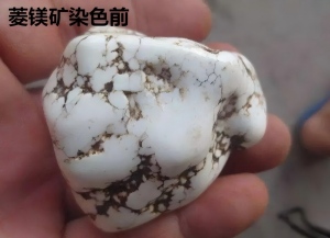 微信图片_20251110115622_21_2(1)